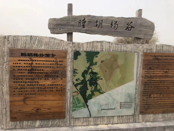 深圳離婚律師為您講解一方隱瞞重大疾病的情況下能否撤銷婚姻