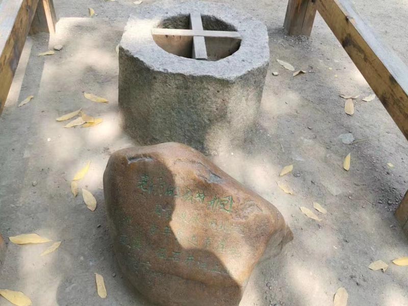 盡主要贍養義務遺產能多分一點嗎？看看寶安婚姻律師對此案例的解說