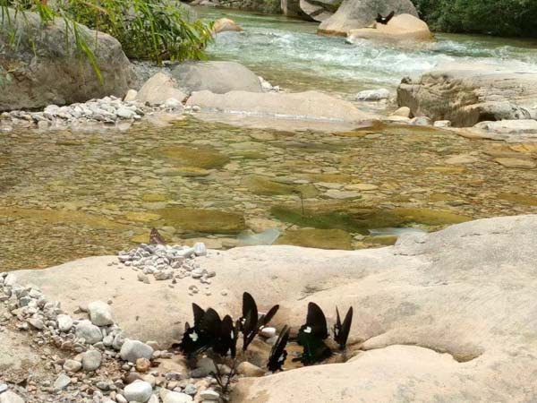 深圳婚姻律師:農(nóng)村五保戶因交通事故等侵權(quán)行為致死獲賠的喪葬費(fèi)應(yīng)歸誰所有